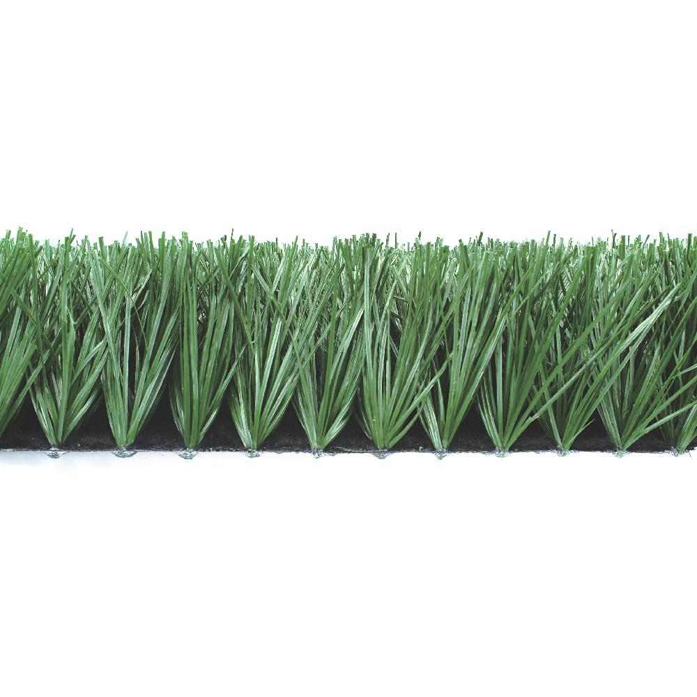 Artificial Turf [DGTEU55]