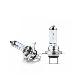 full image Automotive Halogen Bulb_Platinum White